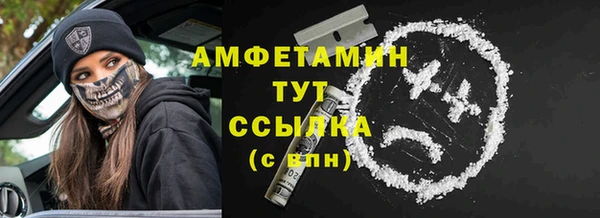 спиды Богородицк