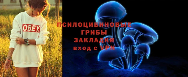 спиды Богородицк