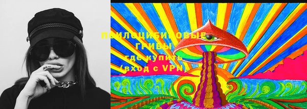 марки nbome Богданович