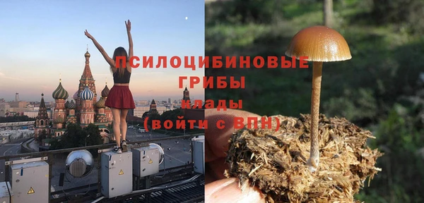 индика Баксан