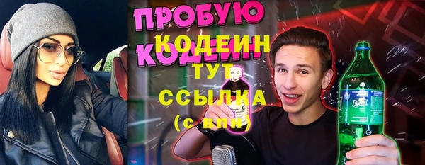 спиды Богородицк