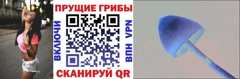 Псилоцибиновые грибы Magic Shrooms  mega зеркало  Пересвет 